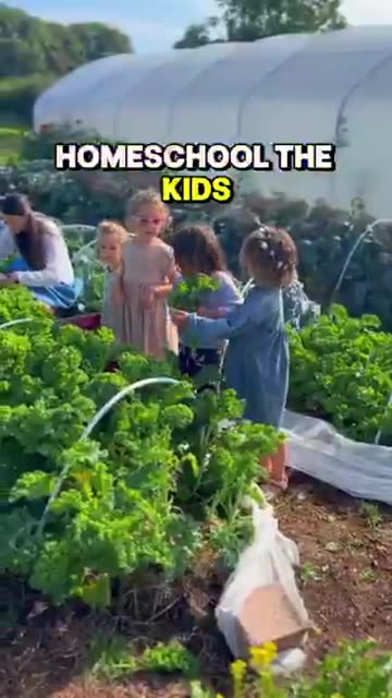 We had to buy land because Satan worshipping pedøs run the world