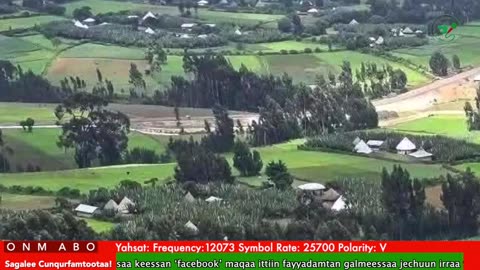 Oduu Waaree ONM-ABO Adoolessa 14-2025 itti dhiyaadhaa!