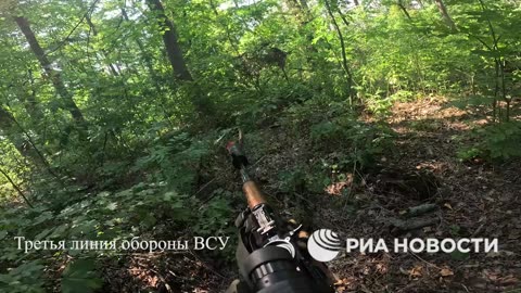 The boars were ambushed again.