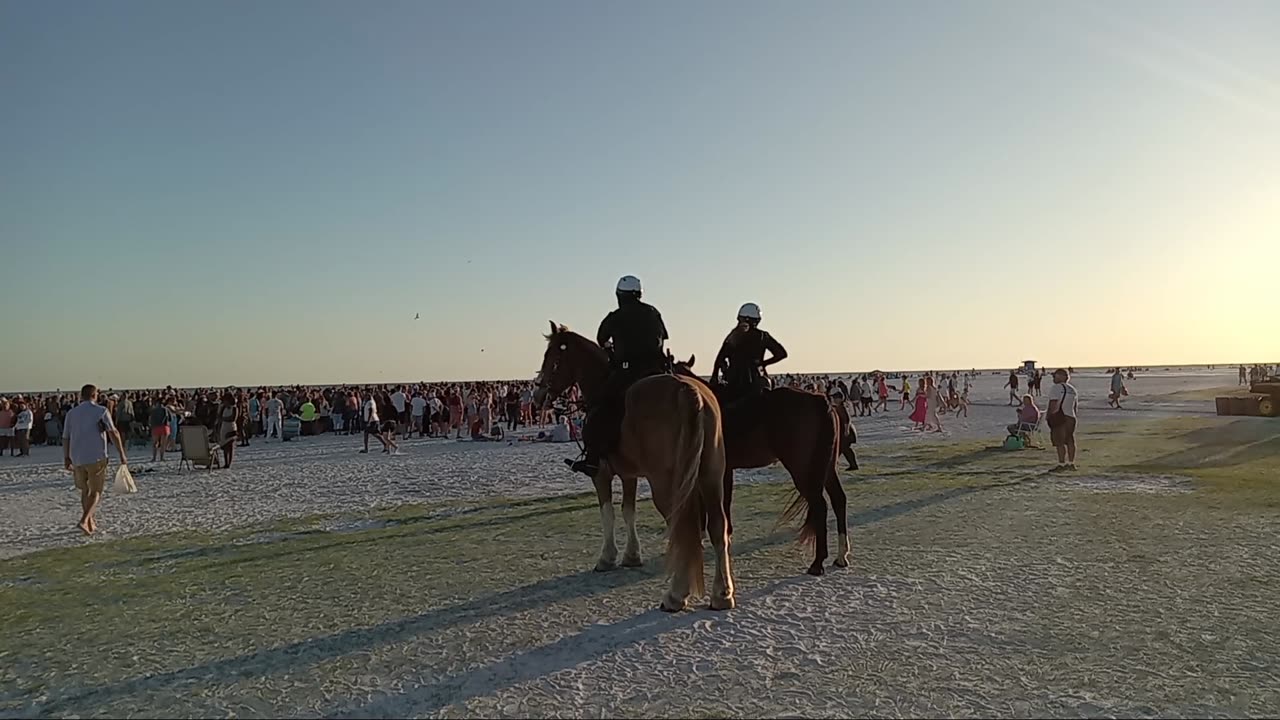 Horses looking over the drum circle