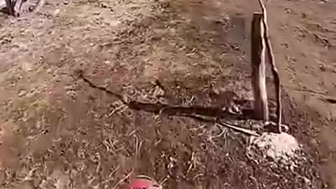 Biker lose head because of wire trap #bike #angrypeople
