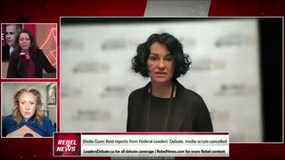 JOURNALISTS BATTLE: Sheila Gunn Reid explains Mainstream media attacks
