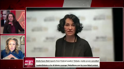 JOURNALISTS BATTLE: Sheila Gunn Reid explains Mainstream media attacks