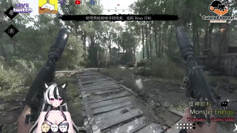 🌱vs🧟‍♀️ New version⭐新手向⭐🥺倉鼠系玩家🥺| 來聊天R ✨💎(๑˃̵ᴗ˂̵)و Culolo Channel(๑˃̵ᴗ˂̵)و 5 Taiwan優質台💎✨
