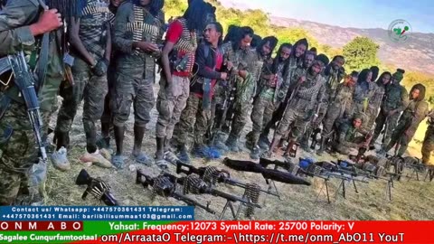 Gabaasa Tarkaanfii ONM-ABO Fulbaana 21-2025 itti dhiyaadhaa!