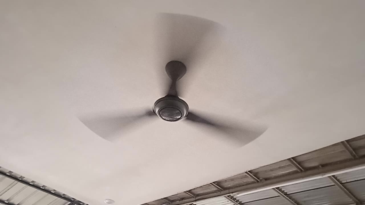 The Spinning Fan