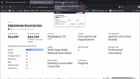USA Watchdog?????????