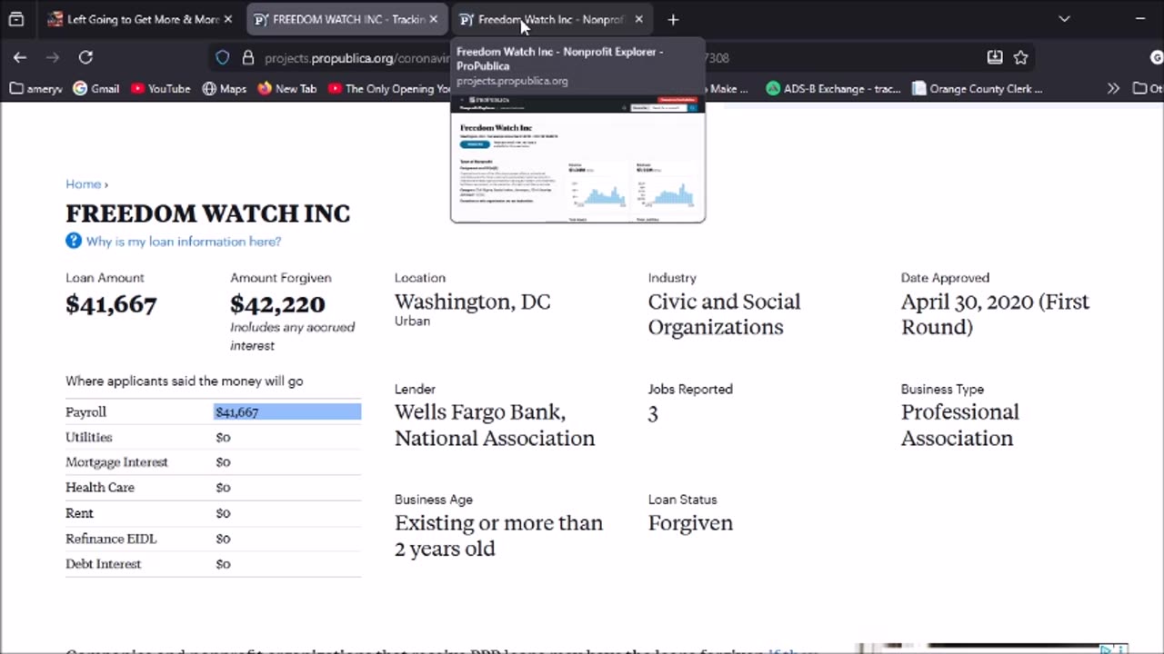USA Watchdog?????????