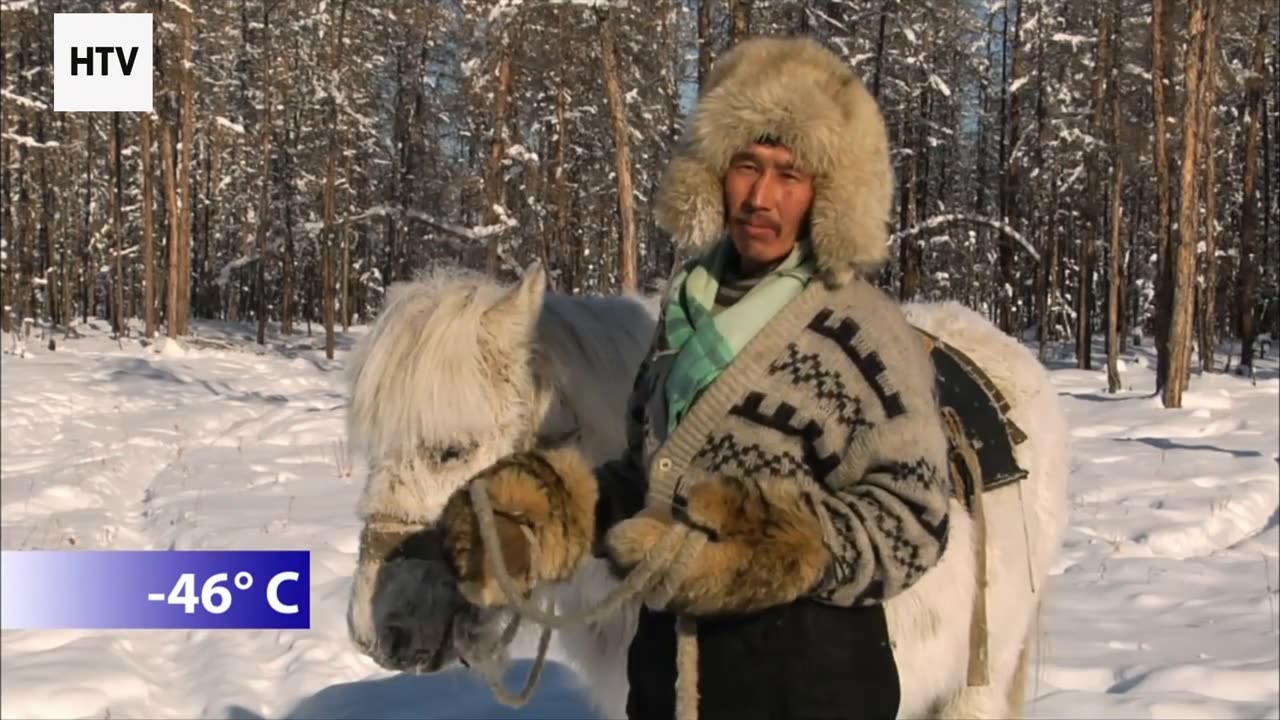 Deadly Duels in Nature