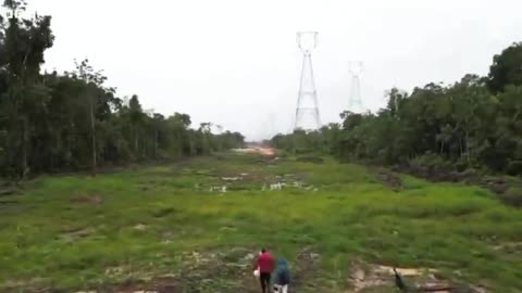 The UN's COP30 climate summit starts next week in Brazil.