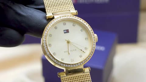 Tommy Hilfiger Women’s Watch 1781864