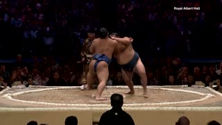 Flipping sumo wrestlers get London tournament rolling