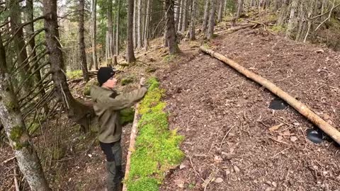 Building a Bushcraft Log Cabin for Survival - Catch & Cook - Start to Finish