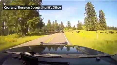 BODYCAM VIDEO: 10-time convicted felon shoots at deputies with AR-15 during pursuit