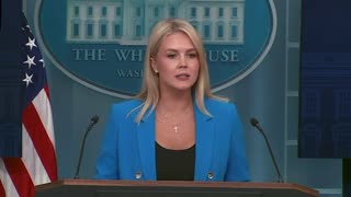 Karoline Leavitt Announces 330 Illegals Arrested for Involvement in LA Riots