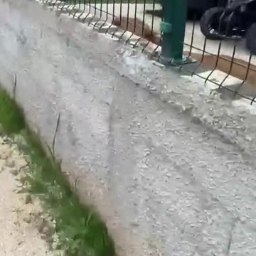 Ndodh në Shqipëri/ Luani e kafshon në qafë, burri mezi shpëton nga dhëmbët e 'Mbretit të kafshëve'