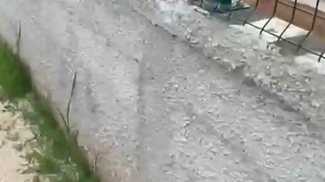 Ndodh në Shqipëri/ Luani e kafshon në qafë, burri mezi shpëton nga dhëmbët e 'Mbretit të kafshëve'