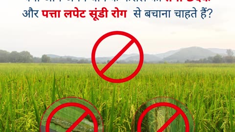 🌾 Protect Your Paddy Crops with the Ultimate Solution – Nagarjuna 4G! 🌾