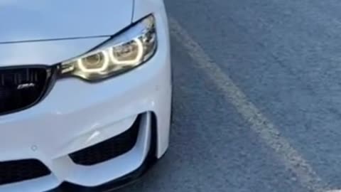 How much money ROSALÍA Berghain made