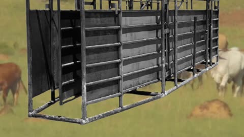 Superior Standard Adjustable Alleyway