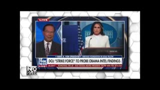 INFOWARS Shows