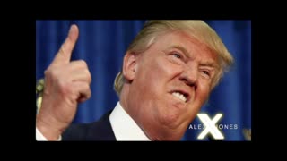 INFOWARS Shows