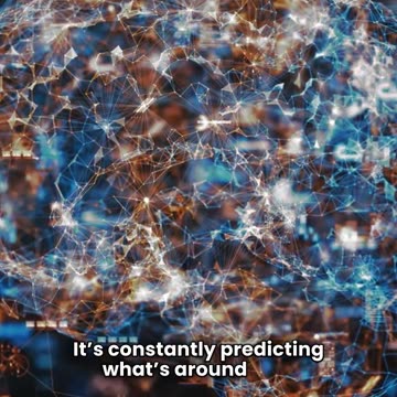 Your Mind’s Greatest Trick — Predicting the Future Before You Notice