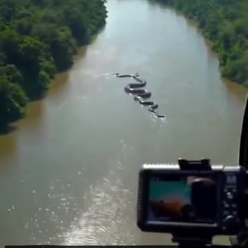 Stunning Discovery in the Amazon: 26-Foot Anaconda Caught on Camera