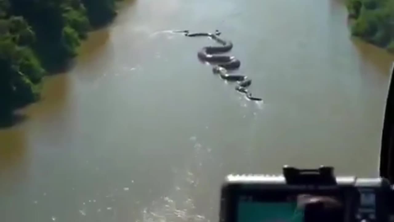 Stunning Discovery in the Amazon: 26-Foot Anaconda Caught on Camera