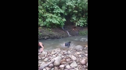 guy almost dies to snake