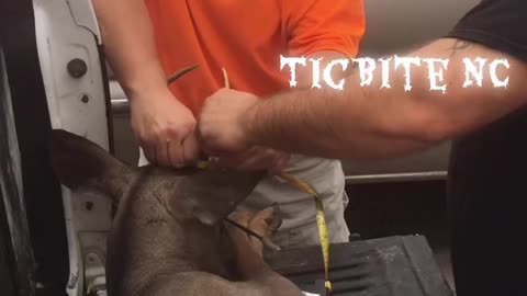 Scoring the “Big Buck”