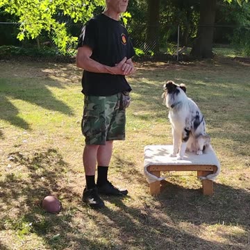 Structured Play Games Training and Practice short h