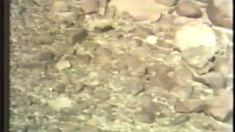 BBC Horizon - The Case of the Ancient Astronauts (1977) PBS NOVA