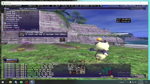 Playing Final Fantasy XI Online