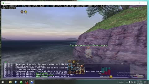 Playing Final Fantasy XI Online