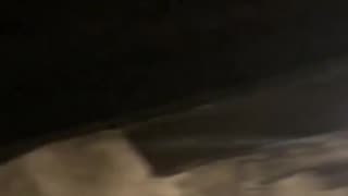 🤣 British tour guide in Auschwitz