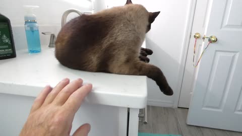 He was in da sink
