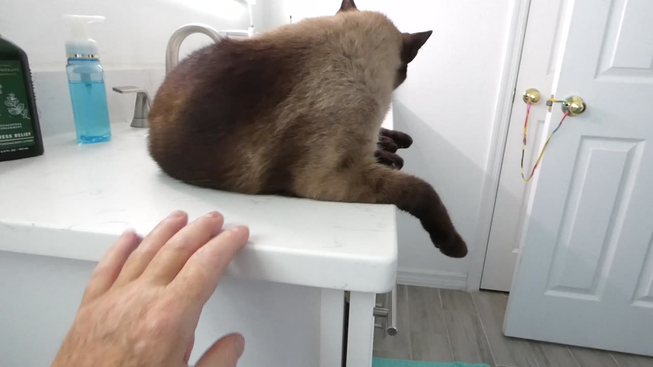 He was in da sink