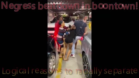 Negress beatdown in boontown, logical reasons to racially spearate