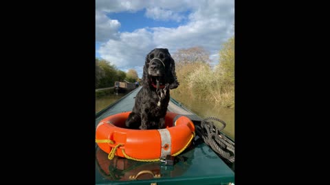 Mark Clark Portrush with family and friends in Wales, UK, Portsmouth & Ireland 2013 to 2025..