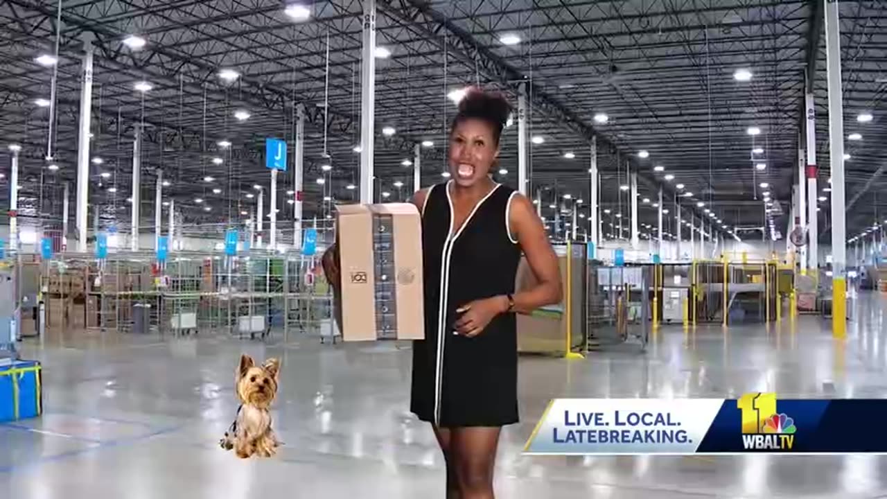 Amazon driver training.😁