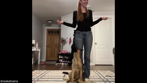 Your Daily Dose of Pets / He Didn't Find This Funny