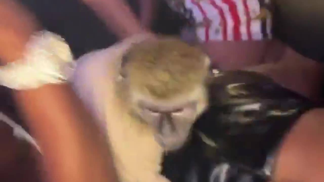 😂🤣 What Happened Last Night? | FunFM