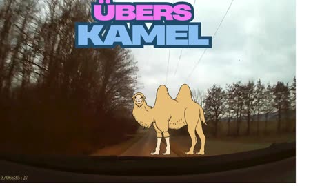 übers Kamel