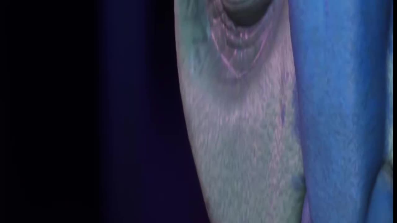 Star Trek Resurgence, Exploring the Galaxy, Saving the Universe