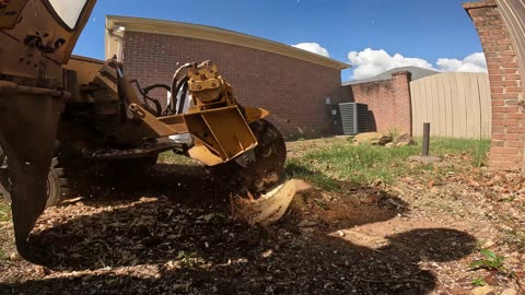 Removing a tree and grinding a Stump in Huntsville