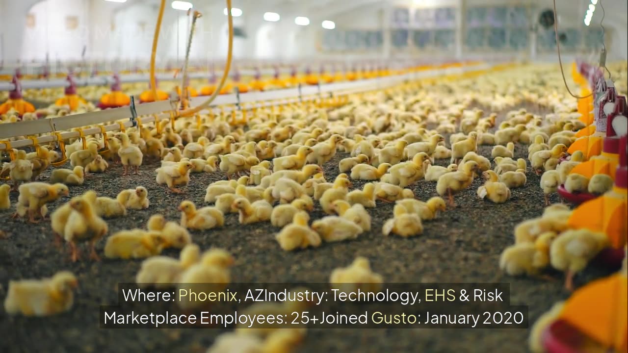 How YellowBird Saves 75+ Hours & Boosts Team Satisfaction with Gusto
