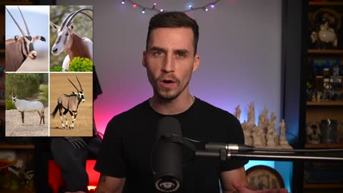 The Messed Up Origins of Unicorns