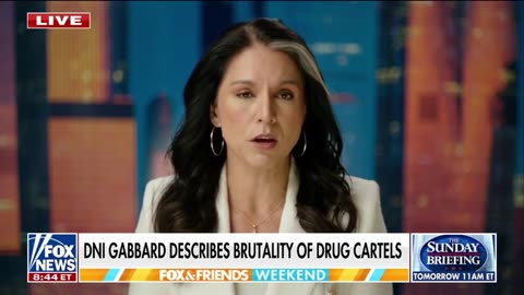 DNI Gabbard Describes The Savagery Of Cartels