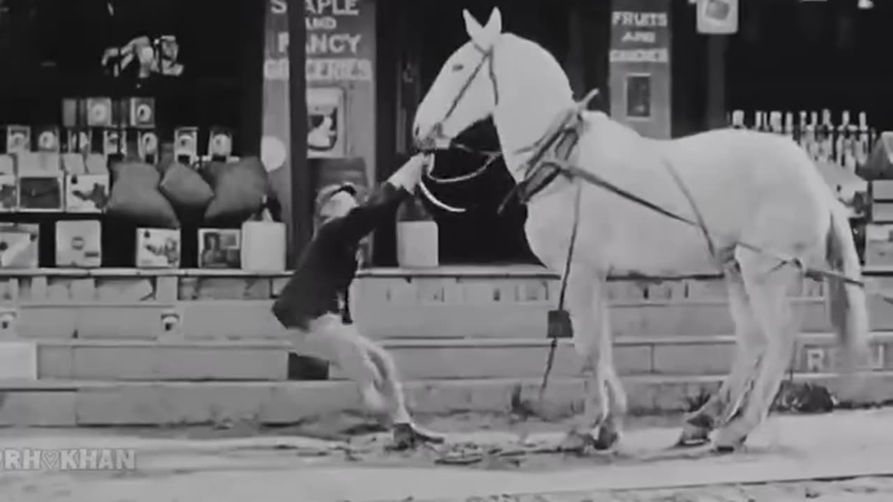 Funny video